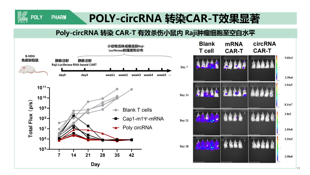 640 (4).png 640 (4).png