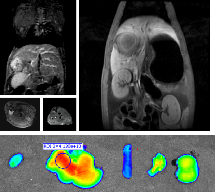 640 (5).png 640 (5).png