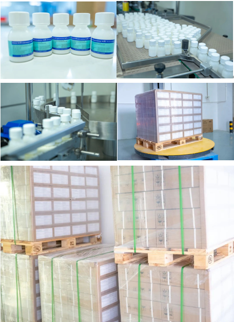 屏幕截圖 2025-08-26 161725.png 屏幕截圖 2025-08-26 161725.png